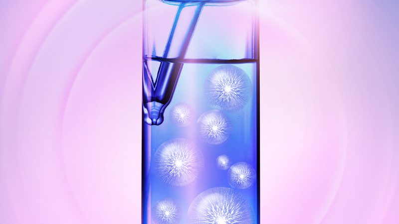 基因测序仪：上海报价背后的考量因素**