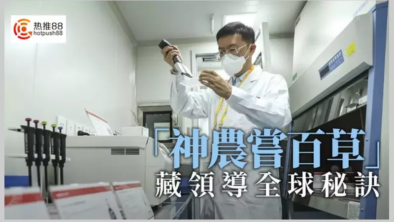 苏州CDMO生产厂家：揭秘药物研发背后的关键角色