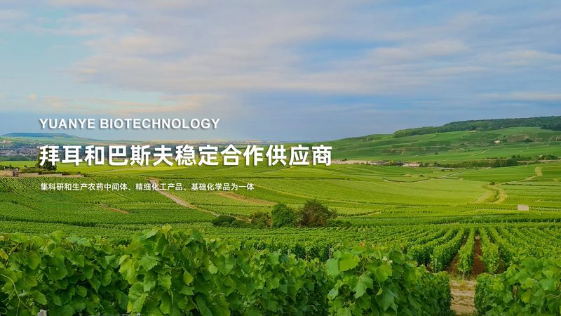 发酵罐型号参数解析：揭秘生物科技核心设备**