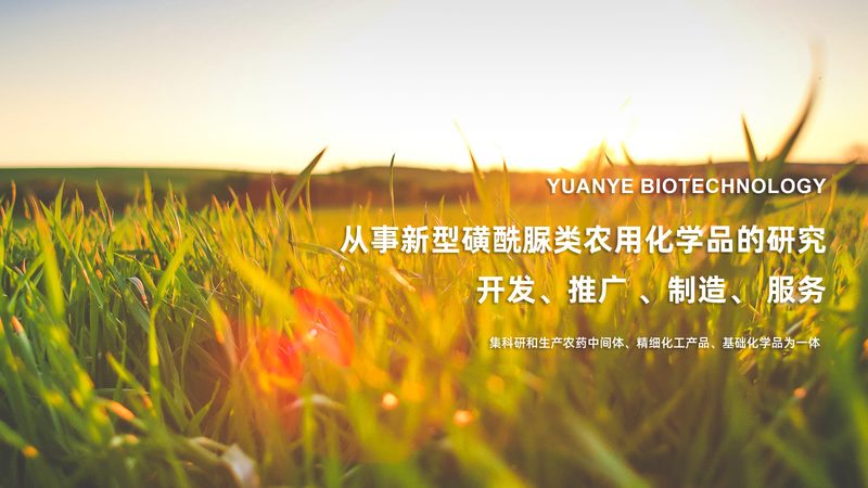 生物制品注册申报，揭秘合同报价背后的关键要素