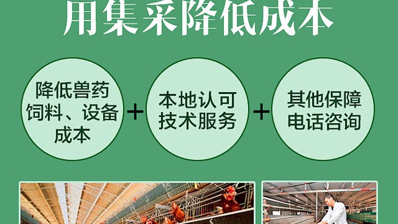 食品加工酶：揭秘如何选择高品质产品**