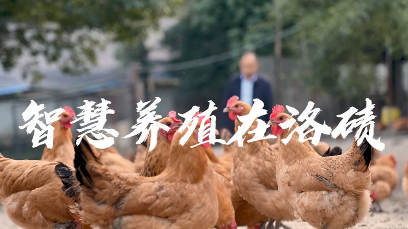 PCR实验室防污染设计的五大关键要点
