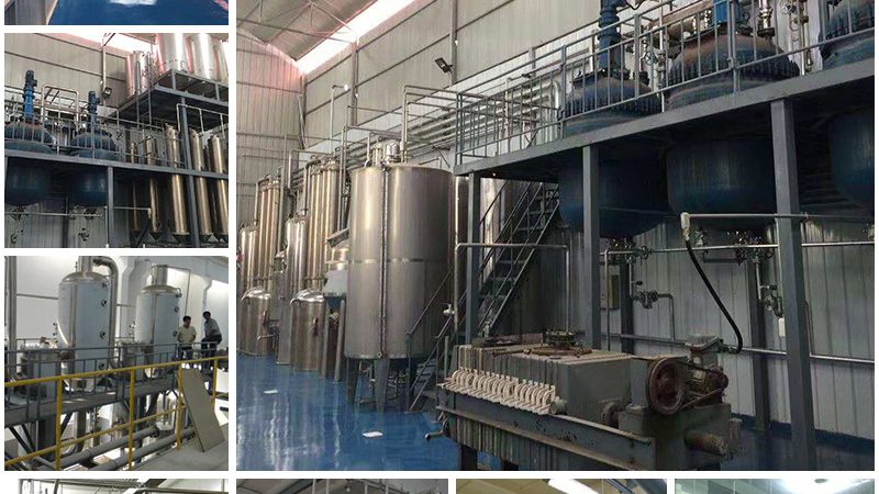基因测序质量控制：标准解析与关键要点