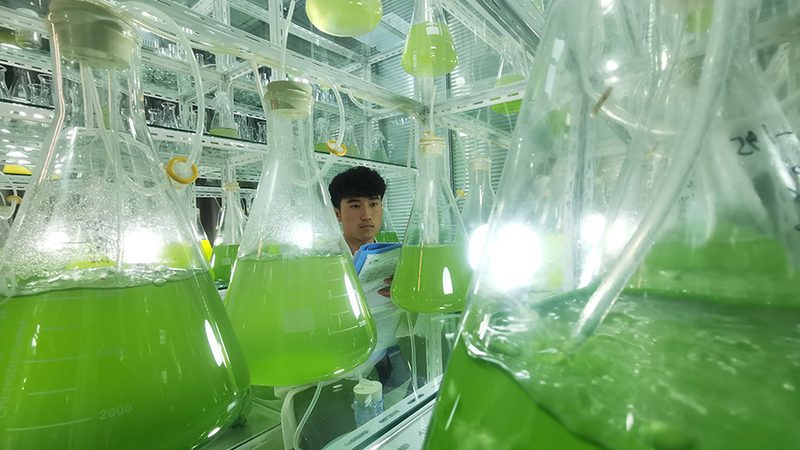 生物医药外包市场主流品牌